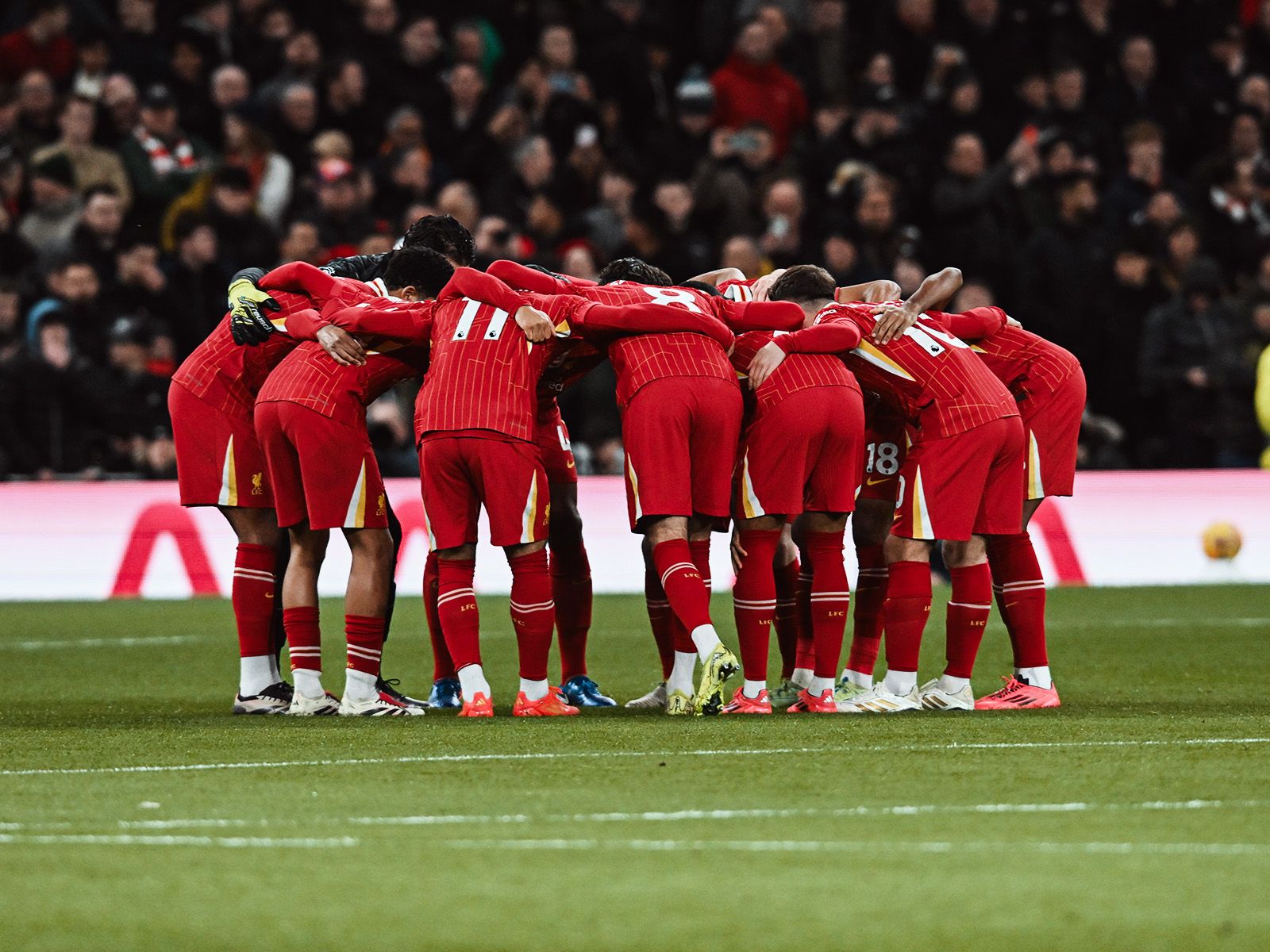 觉之间建立 觉之间建立