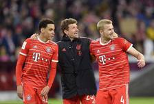 一半是教训 一半是教训